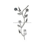 Customized Wrought Iron Crafting with Style