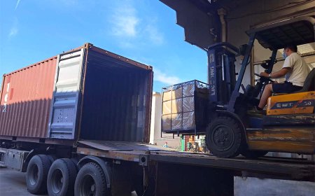 _0004_photobank - 2023-01-12T143602.751_看图王