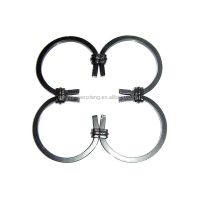Wrought Iron Scrolls Elegant  Personalized Ornamental 